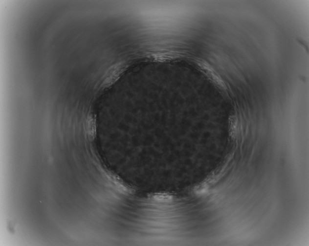 X0000091170471200708161502