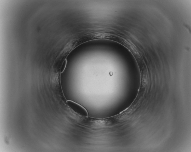 X0000091170473200708161502