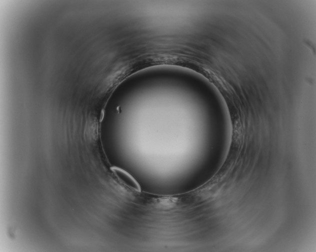 X0000091170474200708161502