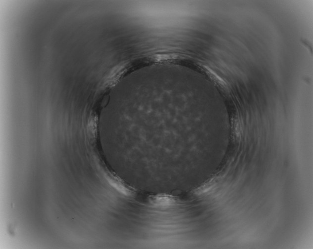 X0000091170475200708161502