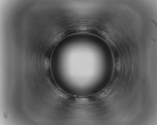 X0000091170476200708161502