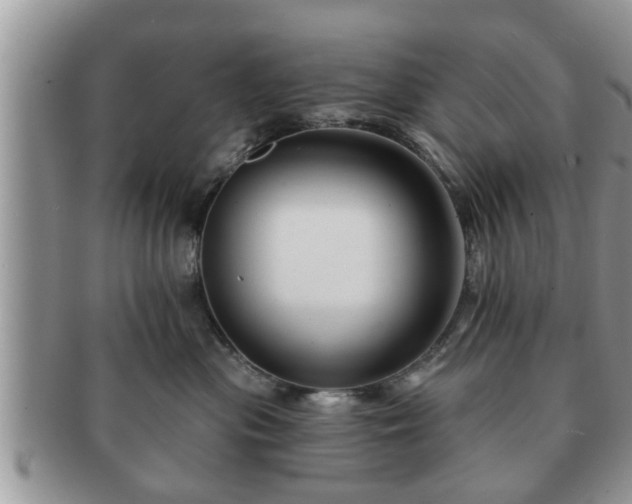 X0000091170477200708161502