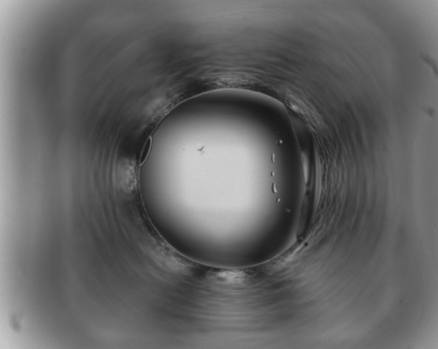 X0000091170478200708161502