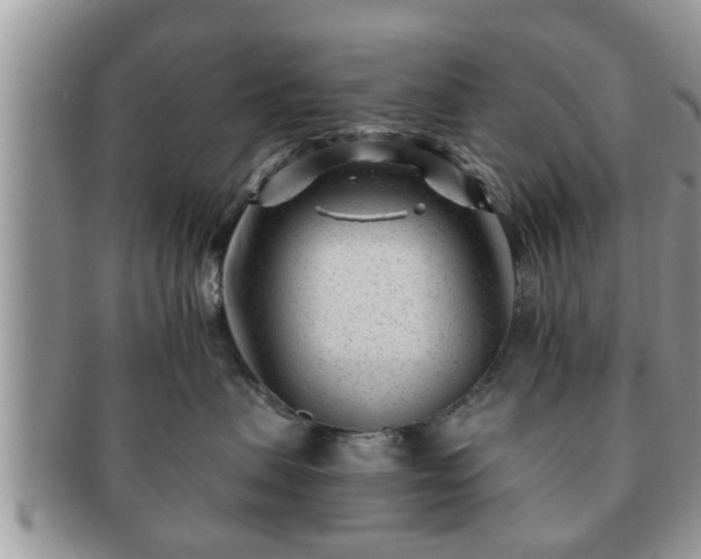 X0000091170479200708161502