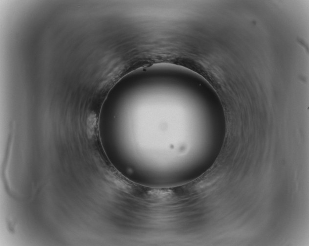 X0000091170480200708161502