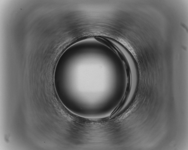 X0000091170481200708161501