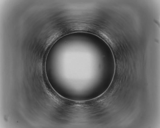 X0000091170482200708161501