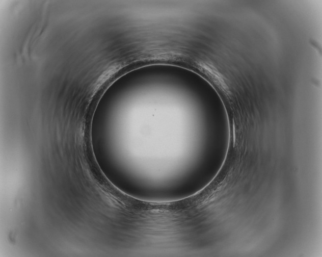 X0000091170483200708161501