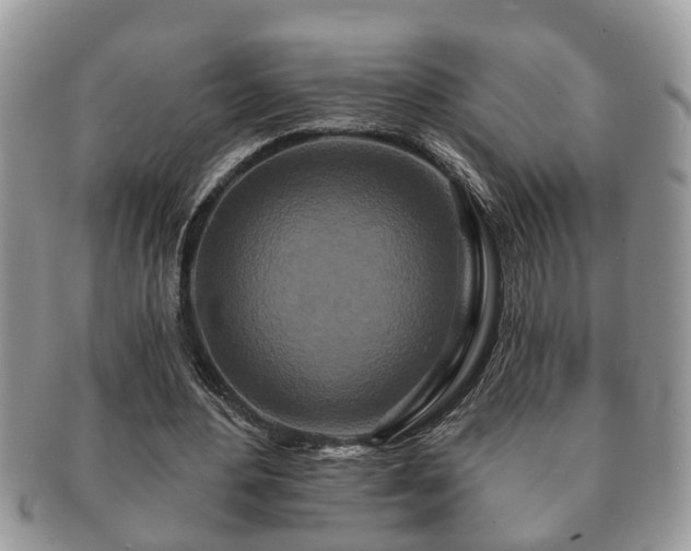 X0000091170484200708161501