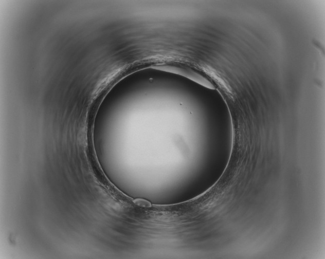 X0000091170486200708161501