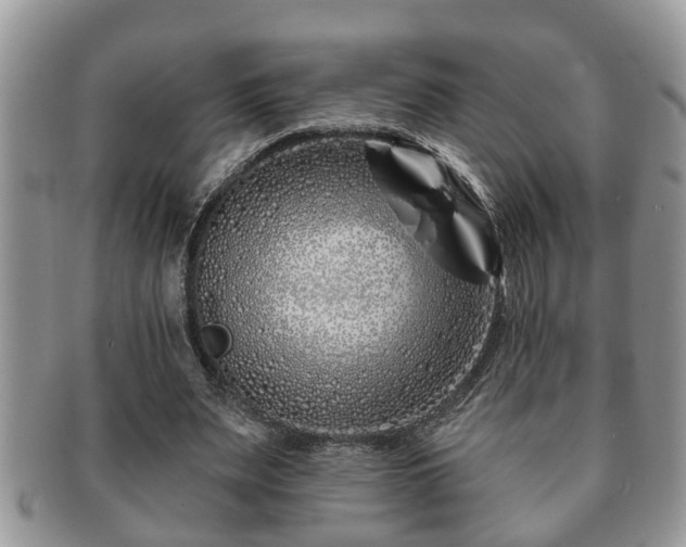 X0000091170487200708161501