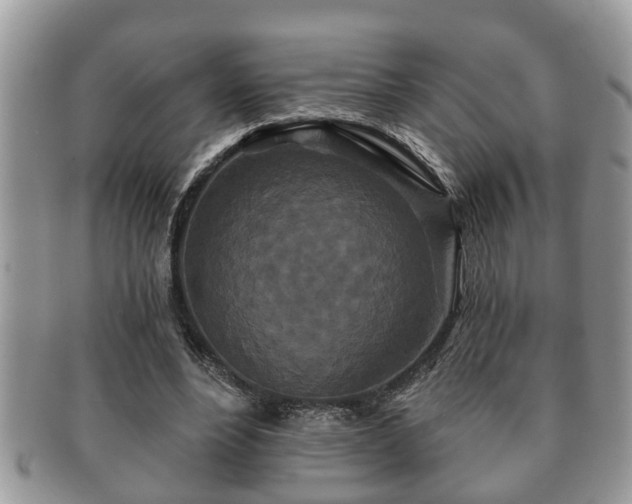 X0000091170488200708161501