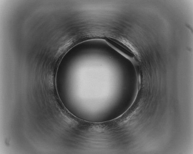 X0000091170489200708161501