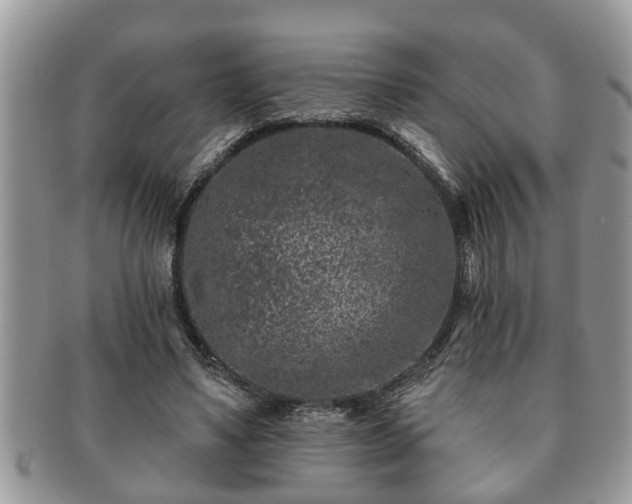 X0000091170491200708161501