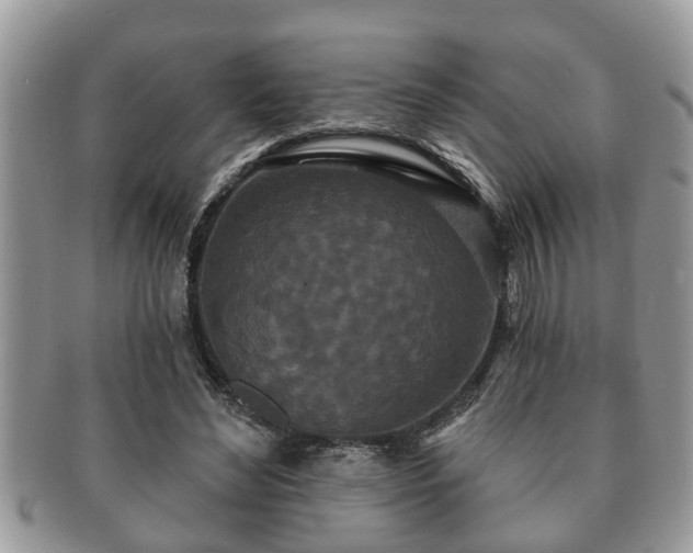 X0000091170492200708161501