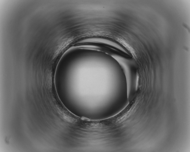 X0000091170493200708161501