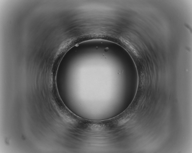 X0000091170494200708161501