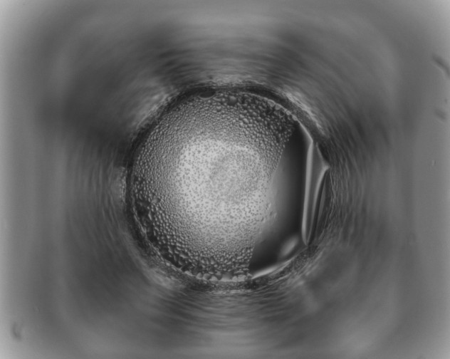 X0000091170495200708161501