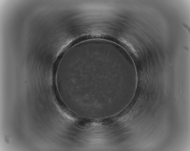 X0000091170496200708161501