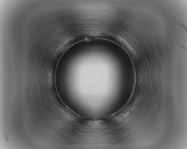 X0000091170497200708161501