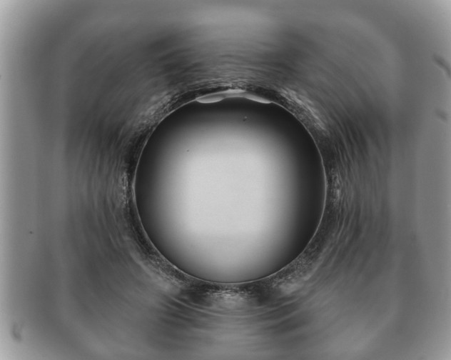 X0000091170498200708161501