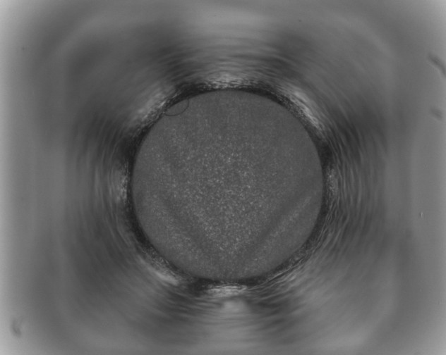 X0000091170499200708161501