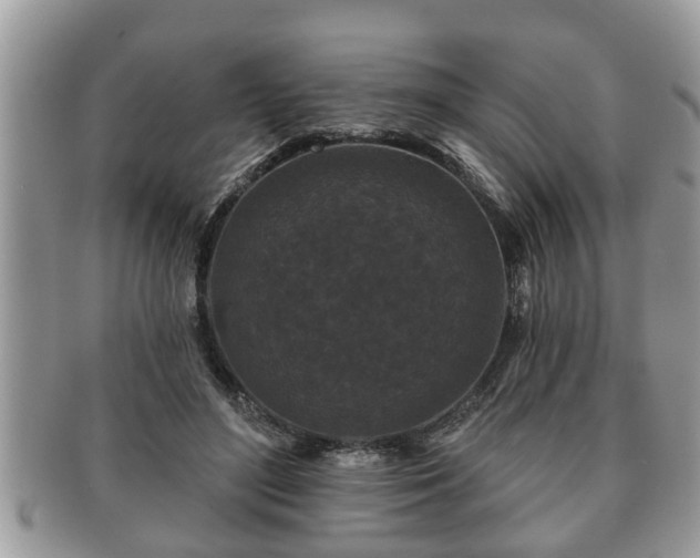 X0000091170500200708161501