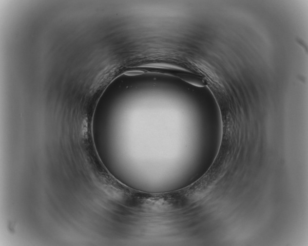 X0000091170502200708161501