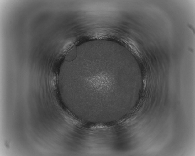 X0000091170503200708161501