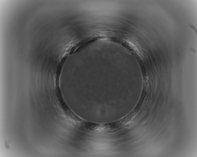 X0000091170504200708161501