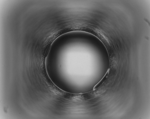 X0000091170505200708161501