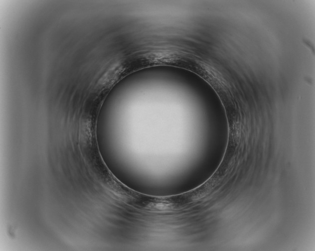 X0000091170506200708161501