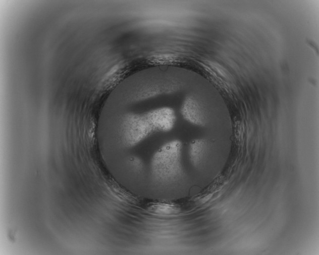 X0000091170507200708161501