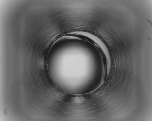 X0000091170508200708161501