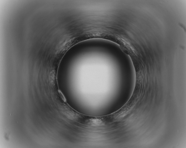 X0000091170509200708161501