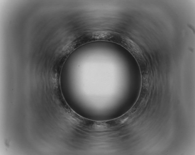 X0000091170510200708161501