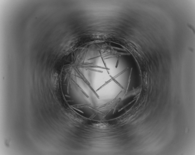 X0000091170511200708161501
