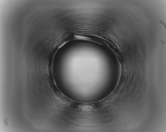 X0000091170512200708161501