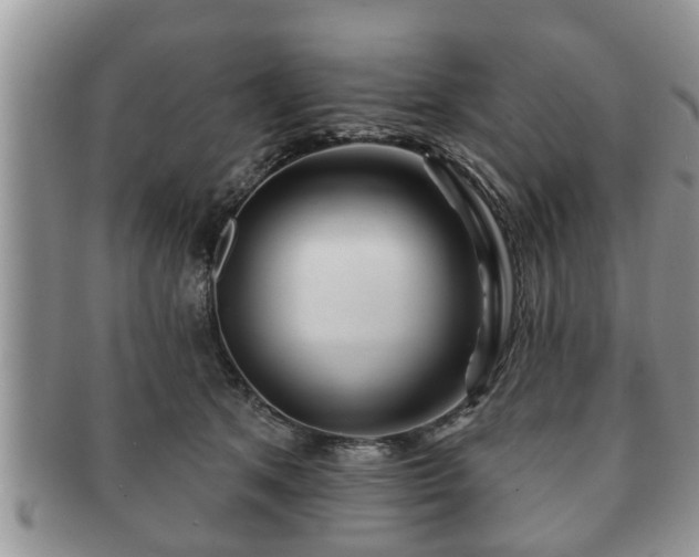 X0000091170513200708161501