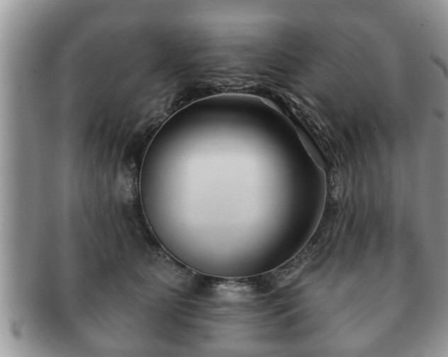 X0000091170515200708161501