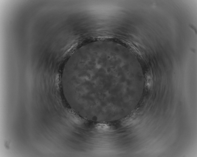 X0000091170519200708161501