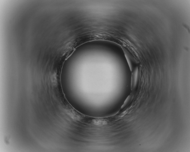 X0000091170520200708161501