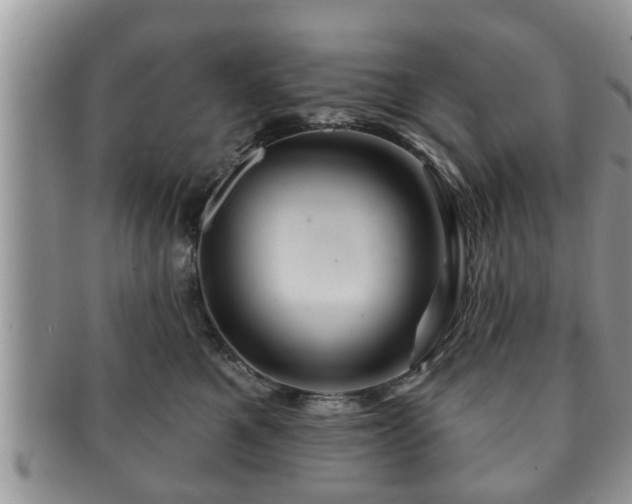 X0000091170521200708161501