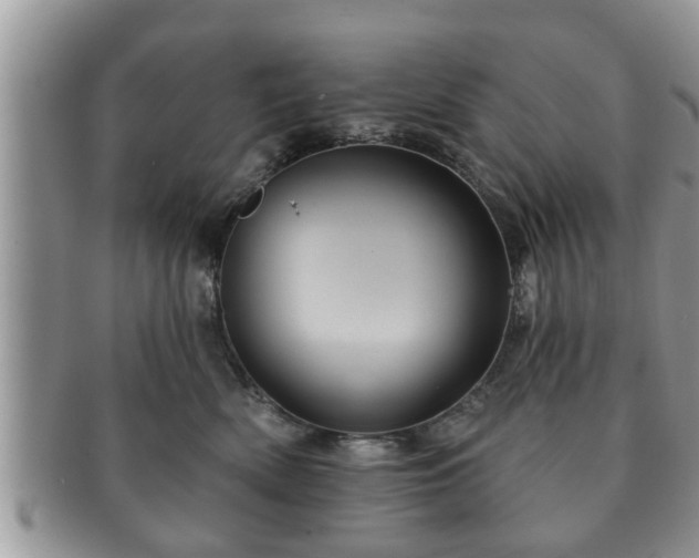 X0000091170522200708161501