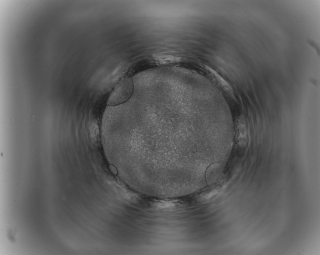 X0000091170523200708161501