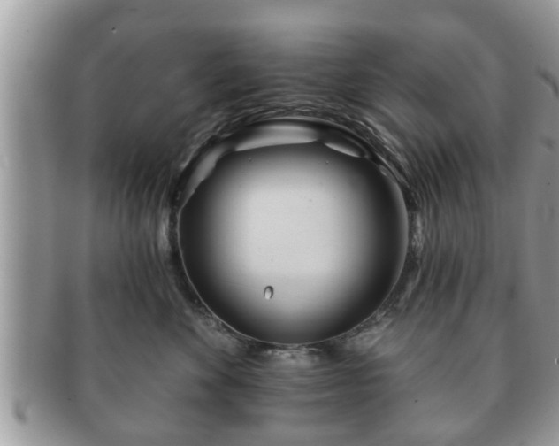 X0000091170524200708161501