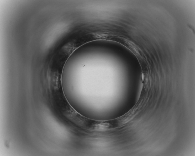 X0000091170525200708161501