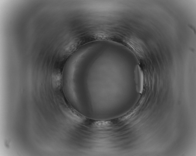 X0000091170526200708161501