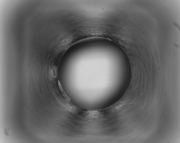 X0000091170528200708161501