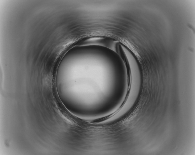 X0000091170530200708161500